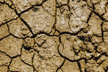 Background of the cracked dry barren soil. Global warming concept