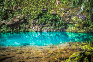 Naklejka na ściany i meble Poço Azul lake with selective focus in Achadinha, São Miguel - Azores PORTUGAL