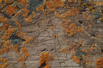 Texture of natural stone, rough background