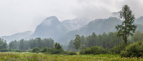 Mountain view on a rainy summer day, panorama