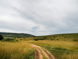 Maasai Mara, Kenya, Africa - February 26, 2020: Dirt road through Maasai Mara Game Reserve in Kenya, Africa