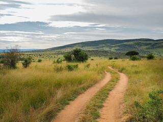 Maasai Mara, Kenya, Africa - February 26, 2020: Dirt road through Maasai Mara Game Reserve in Kenya, Africa