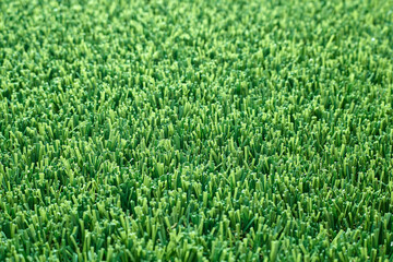 Obraz premium Artificial Grass