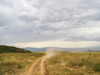 Road for Safari through Lake Nakuru National Park, Kenya, Africa