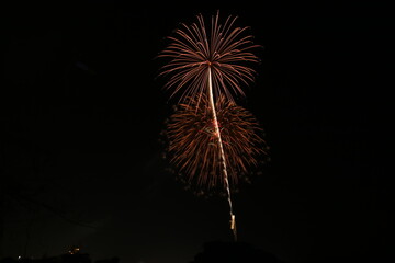 春の夜の花火