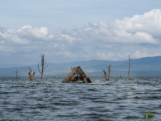 Flooded buildings at Lake Navaisha, Kenya, Africa