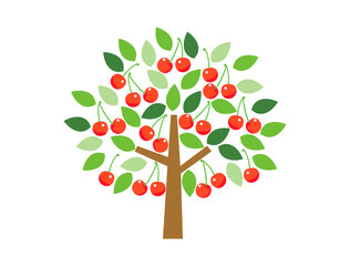 Fototapeta premium さくらんぼの木