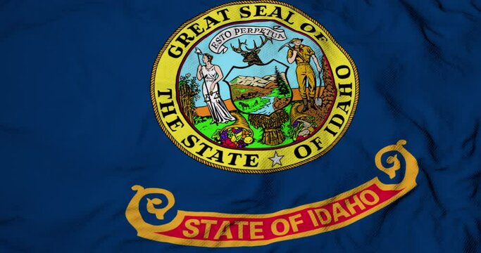 Full frame 3D animation of a flag of Idaho (USA) waving.