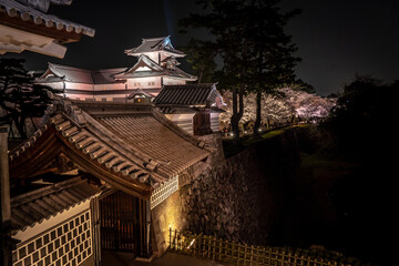 Fototapeta na wymiar 金沢城の春のライトアップ