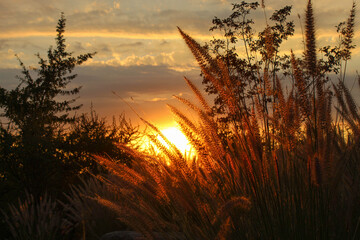 Atardecer