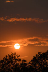 Dramatic sky with clouds and sunlight before sunset above tree, Nature background