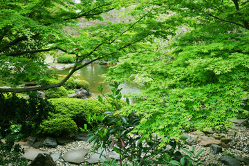 緑豊かな日本庭園、池、紅葉