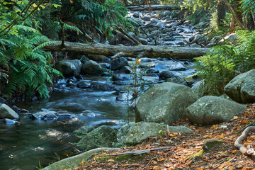 Long Exposure Photography Of Badger Creek Weir Healesville Victoria, Australia