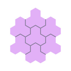 Concrete paver block pavement floor or brick vector icon design. For landscape, outdoor, garden by paving on ground to create trihex pattern. That sidewalk, road, patio, path, street or walkway.