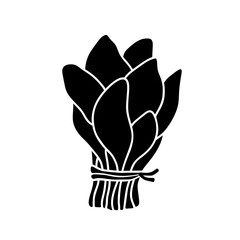 Bunch of fresh spinach silhouette icon. Black simple illustration of garden plant or salad. Contour isolated vector pictogram on white background