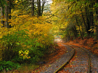 Fototapeta na wymiar Autumn on the Rail Line