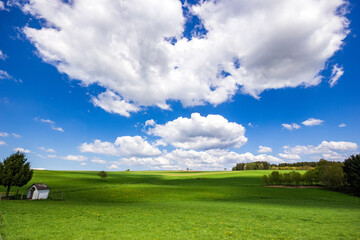 Landscape 1