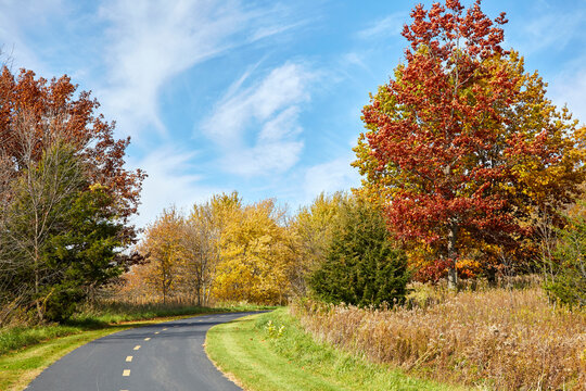 Bike path winding through a beautiful park on a fall day with trees turning colors