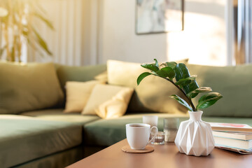 Fototapeta na wymiar Relaxing time at comfort green interior loft house, vase with zamioculcas