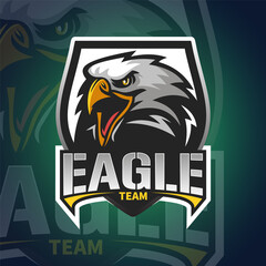 Vector illustration White Eagle Head logo Mascot