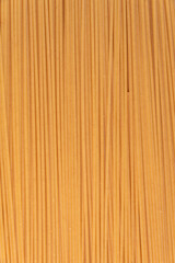Raw pasta detail in macro
