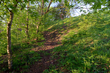 Petits bois park in Grand Paris Area. Ivry-sur-Seine
