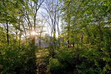 Petits bois park in Grand Paris Area. Ivry-sur-Seine