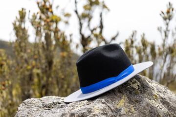 hat on a rock tree fashion black and blue