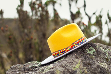 hat on a rock tree fashion yellow and grey