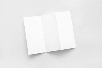 Blank brochure on light background