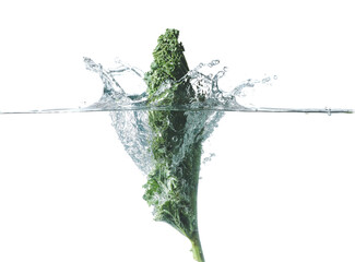 Falling of fresh kale cabbage into water against white background