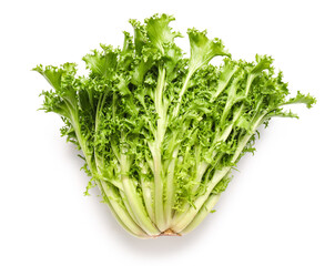 Fresh salad on white background