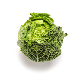 Fresh savoy cabbage on white background
