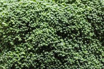 Fresh broccoli as background, closeup
