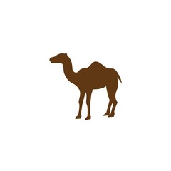 camel icon vector illustration design template