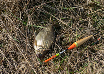 a carousel on the shore of the lake fishing as a hobby, early spring in nature