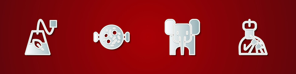 Set Tea bag, Chicken tikka masala, Elephant and Indian man plays flute icon. Vector