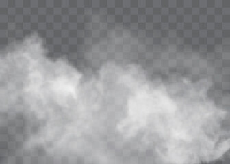 Fog or smoke isolated transparent special effect. White vector cloudiness, mist or smog background. Vector illustration