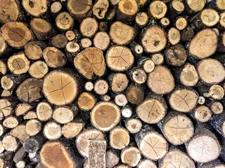 Möbelaufkleber Stack of cut woods for fireplace © Serafim