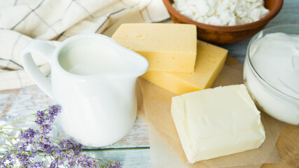 Natural variety of dairy products: milk, sour cream, cottage cheese, butter, cheese. Image with selective focus