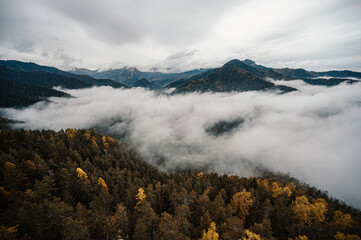 Mountain landscape. Misty forest. Natural outdoor travel background. Slovakia, Low Tatras, Demenovska hora and dolina vyvierania. Liptov travel. © Zedspider