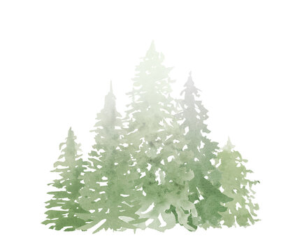 Watercolor Forest illustration. Green landscape, pine trees.