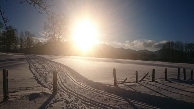 Langlauf in Sonnenstrahlen