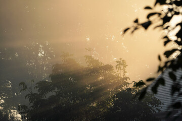 Urlaub am Schweriner See / Flessenow am morgen 