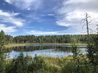 Forest lake which is located in Karelia.