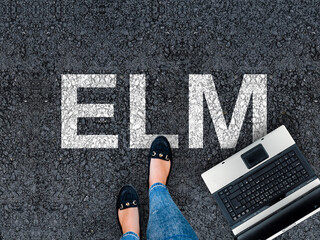 ELM programming language.  Woman legs in sneakers standing next to laptop and word elm