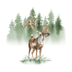 Watercolor forest illustration: green landscape, woodland deer, pine trees.