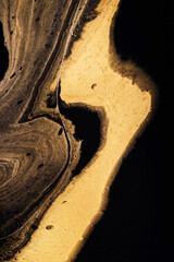 Liquid Golden wave on black. Abstract liquid marble background or texture. Acrylic Fluid Art. Digital decor