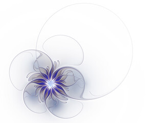 Blue fractal flower on white background