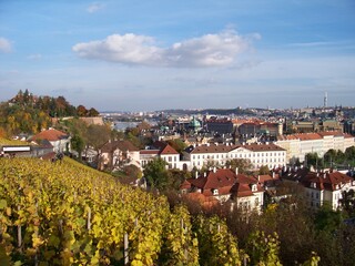 Fototapeta na wymiar Prague overlook from the castle